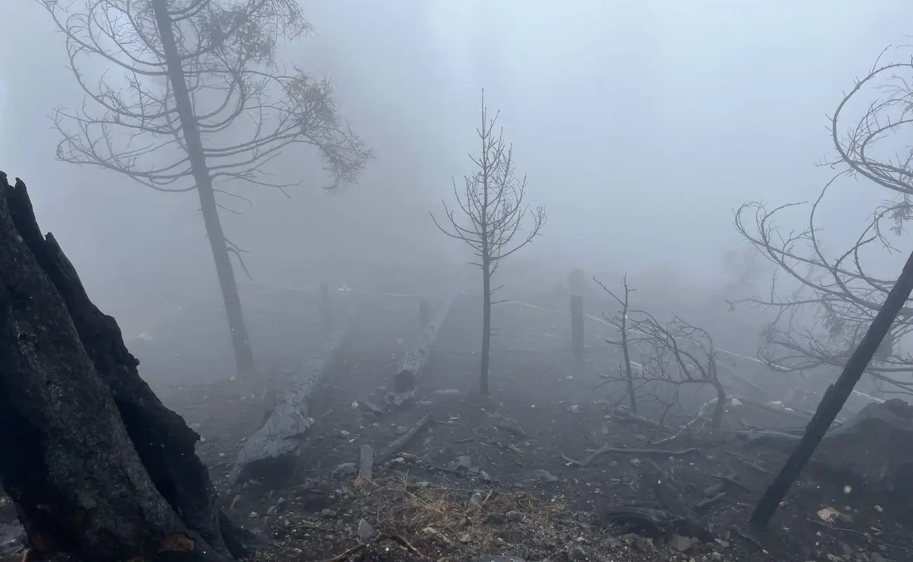 Unterstützungseinsatz Waldbrand Prad/Stilfs (IT) - 13.04.2025
